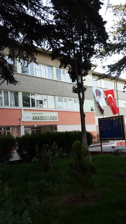 Merzifon Anadolu Lisesi