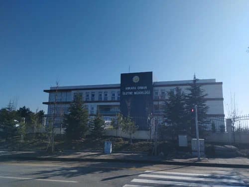 Orman Bölge Müdürlüğü